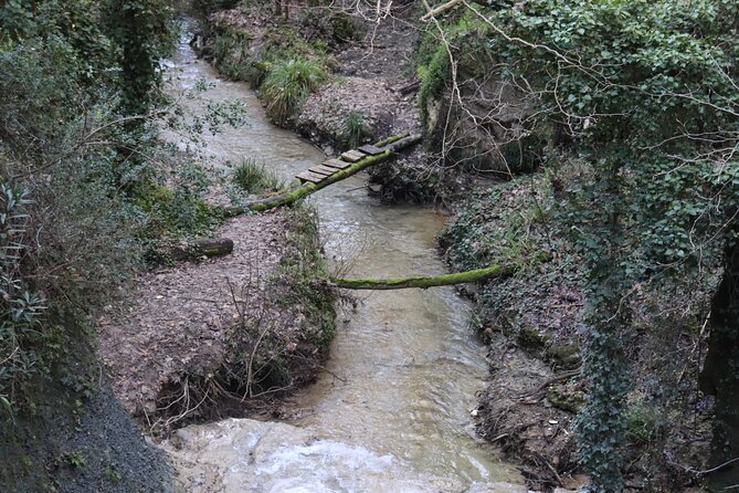 Half-Day River Trekking Stenosia from Kalamata - What the guides add to the experience