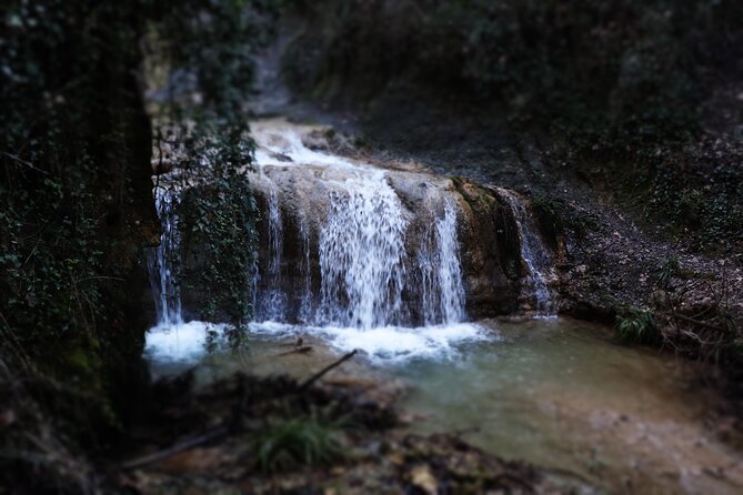 Half-Day River Trekking Stenosia from Kalamata - Practical details for a smooth morning