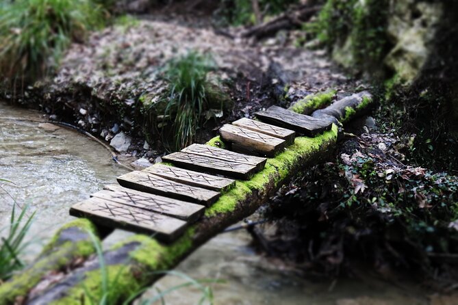 Half-Day River Trekking Stenosia from Kalamata - The first Stenosia waterfall sets the tone
