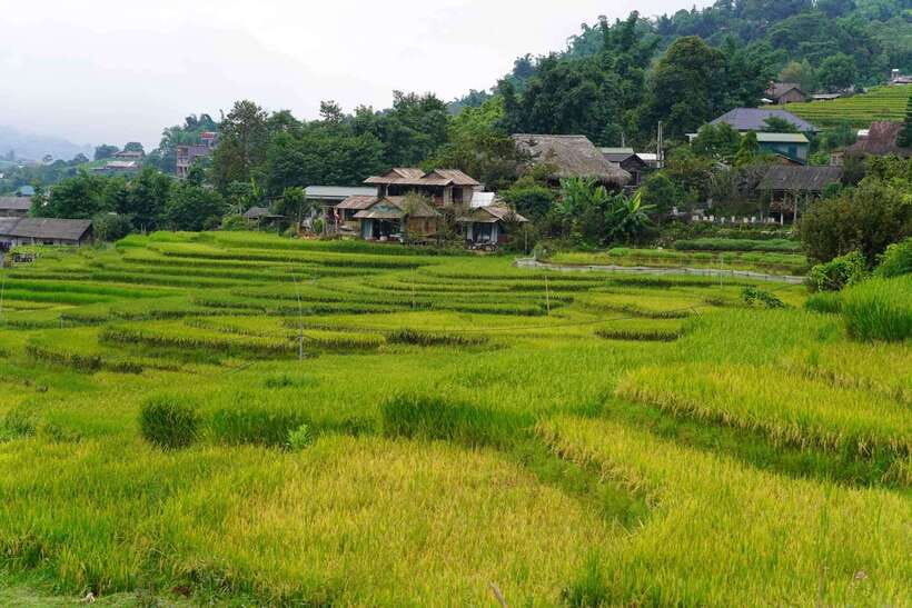 Half Day Sapa Trekking to Visit Lao Chai - Ta Van - Ta Van, a Dzay village with a slower finish