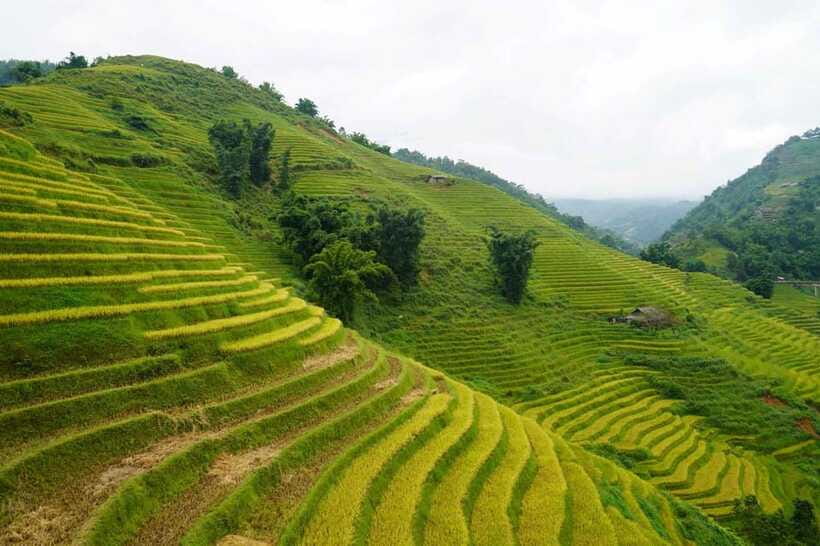 Half Day Sapa Trekking to Visit Lao Chai - Ta Van - The return bus and the value of a half day