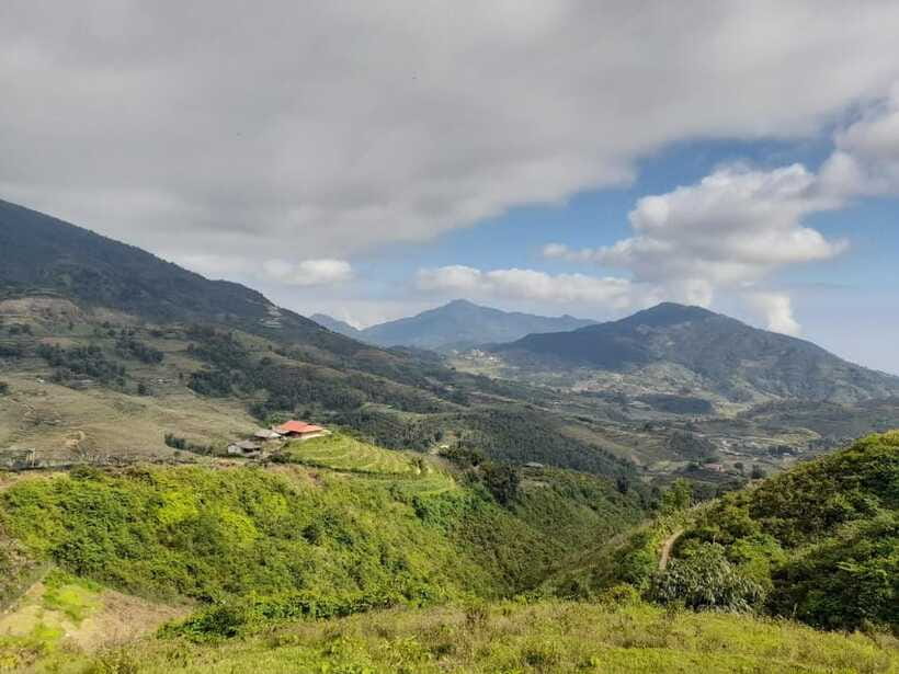 Half Day Sapa Trekking to Visit Lao Chai - Ta Van - What $22 really gets you