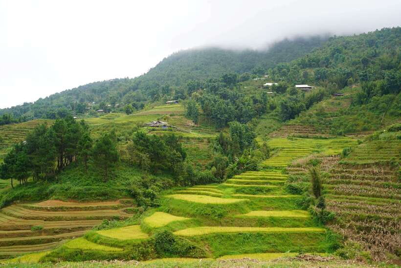 Half Day Sapa Trekking to Visit Lao Chai - Ta Van - Who should book this Sapa trek