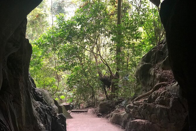 Half Day Trekking Cat Ba National Park - The guide and the group experience
