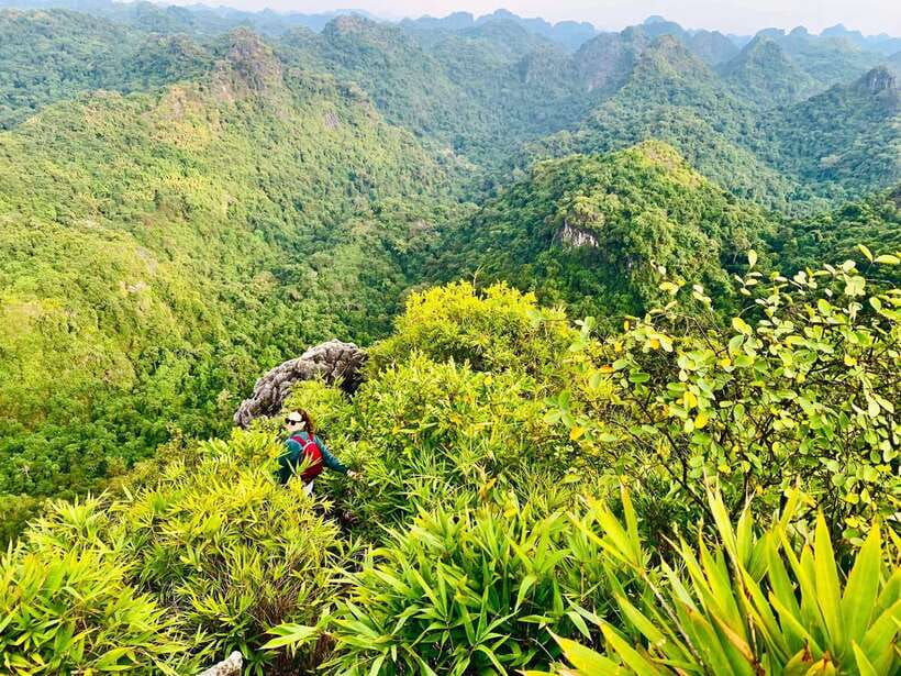 Half Day Trekking Cat Ba National Park - Who should book this Cat Ba tour?