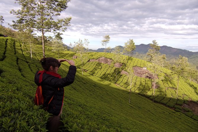 Half day trekking (munnar valley Trekking & Tours ) - Value at about $8