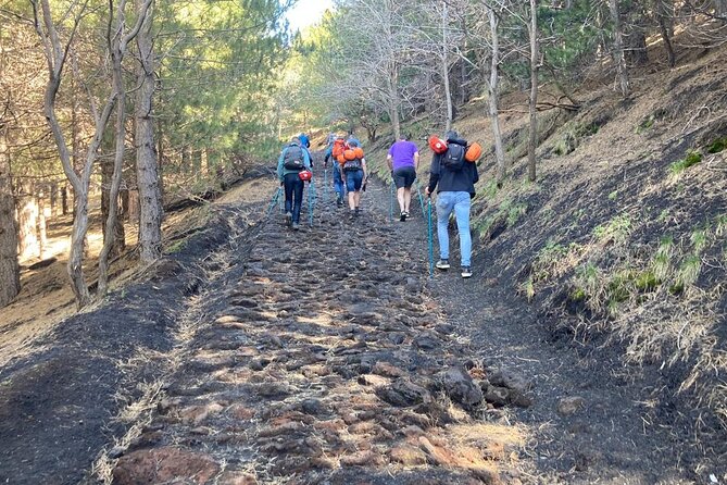 Half day Trekking Tour on Etna - Walking the Silvestri Craters