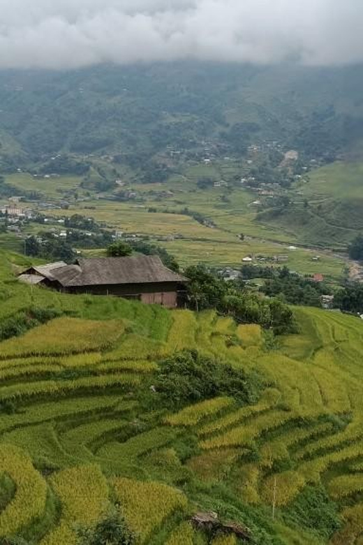 Half Day Visit Y Linh Ho,Lao Chai,Ta Van Trekking With Lunch - Key points at a glance