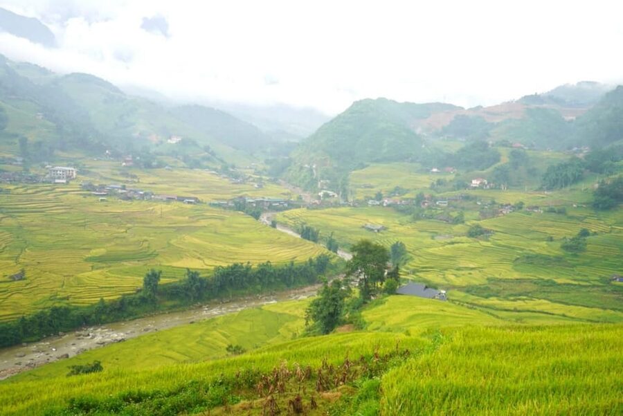 Half Day Visit Y Linh Ho,Lao Chai,Ta Van Trekking With Lunch - Why this Sa Pa walk is worth your morning