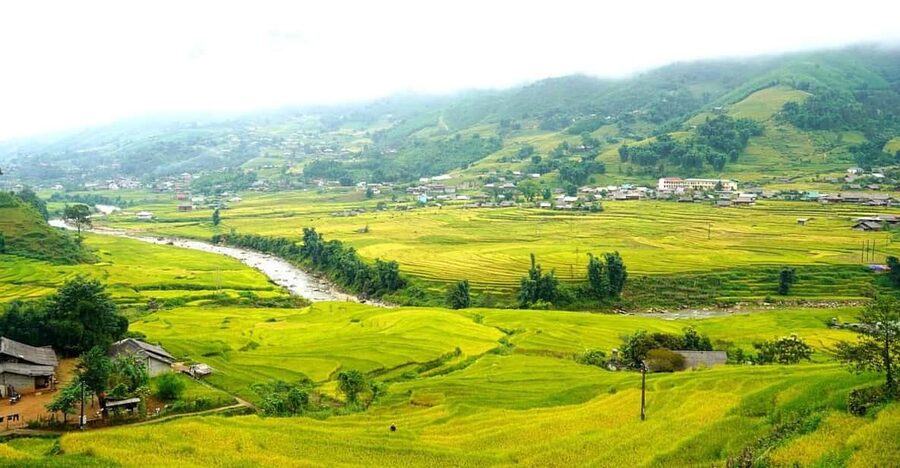 Half Day Visit Y Linh Ho,Lao Chai,Ta Van Trekking With Lunch - Walking beside Muong Hoa Stream