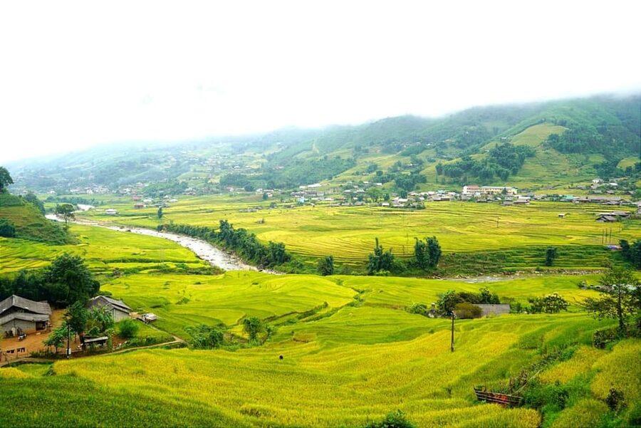 Half Day Visit Y Linh Ho,Lao Chai,Ta Van Trekking With Lunch - Lao Chai, a Black Hmong village