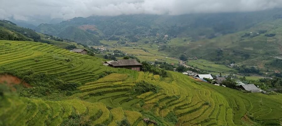 Half Day Visit Y Linh Ho,Lao Chai,Ta Van Trekking With Lunch - Lunch after the trek
