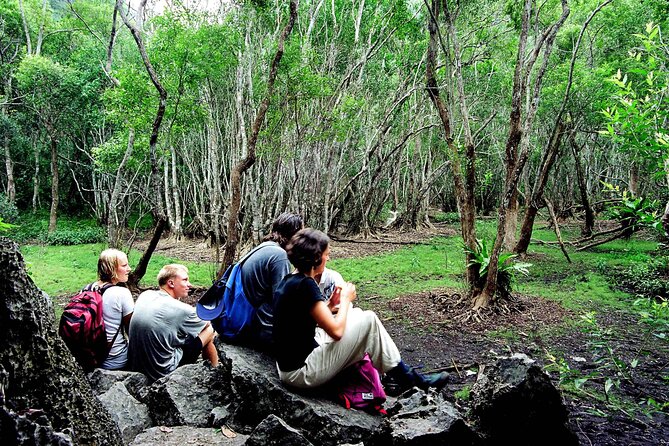 Halfday trekking Cat Ba Butterfly valley (more intense) - Reaching Butterfly Valley at 8:30 am