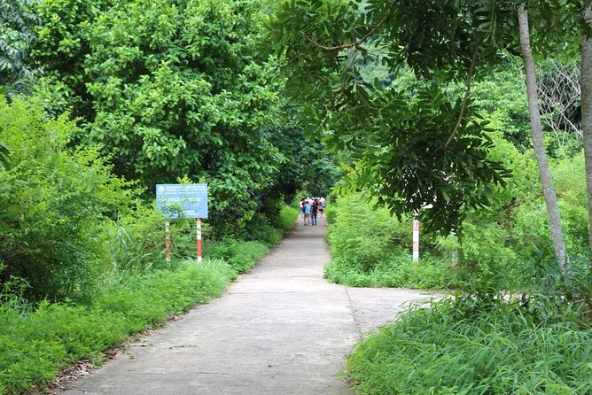 Halfday trekking Cat Ba Butterfly valley (more intense) - The climb and the viewpoint