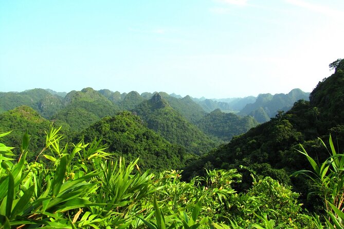Halfday trekking Cat Ba Butterfly valley (more intense) - Practical preparation for the 8:00 am start