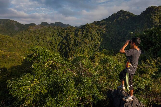 Halfday trekking Cat Ba Butterfly valley (more intense) - Wildlife in the rainforest
