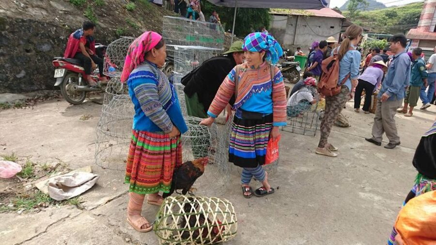 Hanoi: 2-Day Sa Pa Guided Village & Homestay Trekking Tour - Who should book this Sapa trek