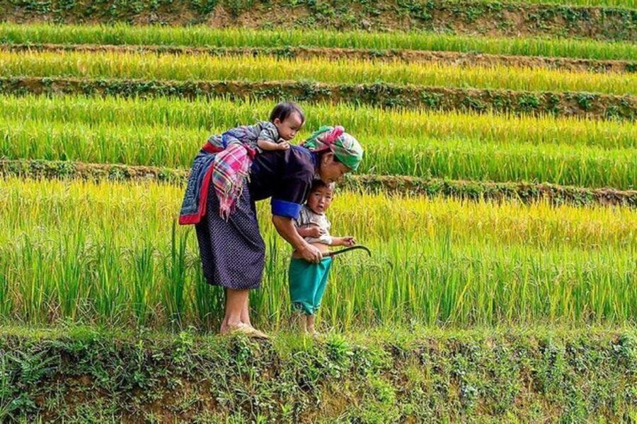Hanoi: 2-Day Sa Pa Guided Village & Homestay Trekking Tour - Why this route gives you more than a Sapa viewpoint