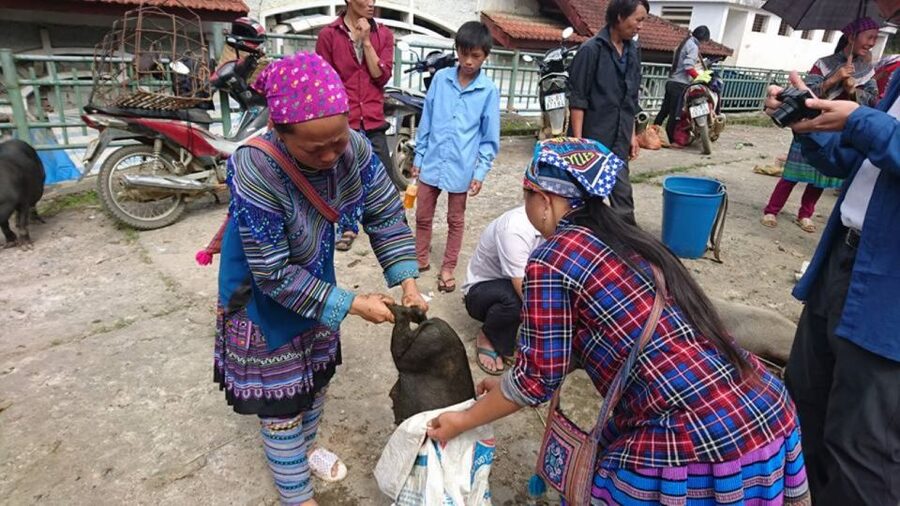 Hanoi: 2-Day Sa Pa Guided Village & Homestay Trekking Tour - What the $84 price really covers