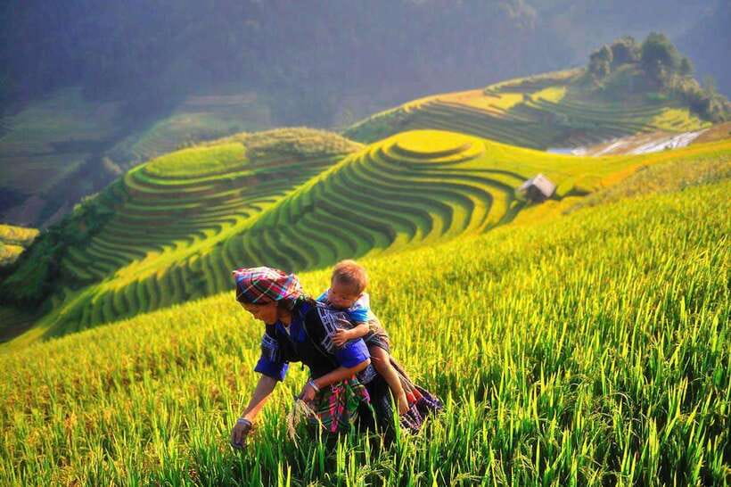 Hanoi: 3-Day Mu Cang Chai Trekking, Hidden Trail, Local Life - La Pán Tẩn and Chế Cu Nha on Foot