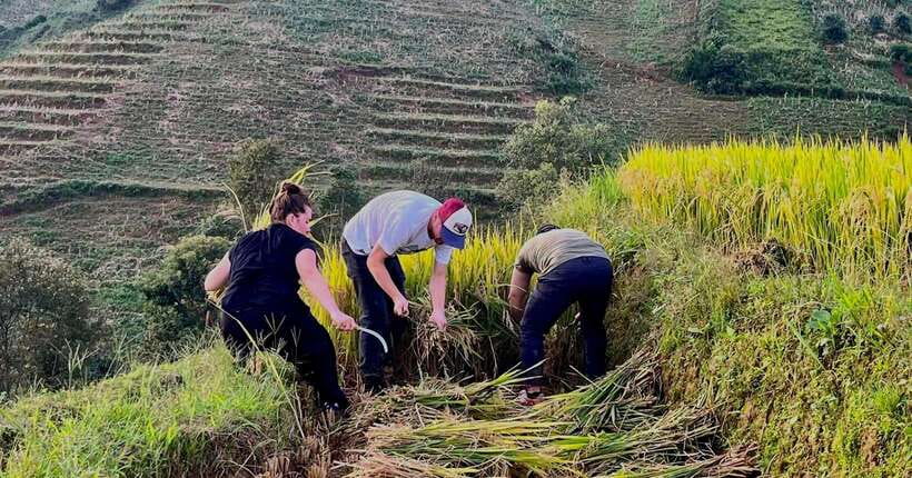Hanoi: 3-Day Mu Cang Chai Trekking, Hidden Trail, Local Life - Walking, Weather, and Practical Preparation