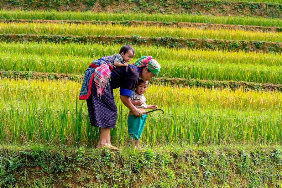 Hanoi: 3-Day Sapa Trek with Homestay - Cat Cat Village on the first afternoon