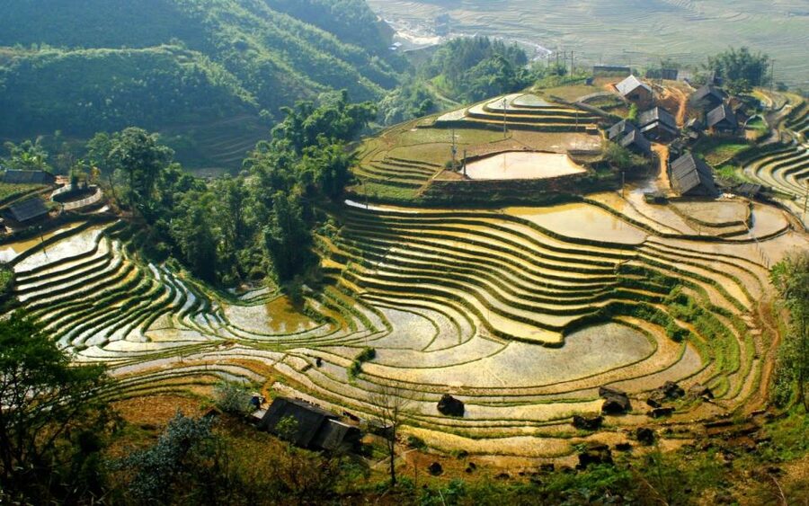 Hanoi: 3-Day Sapa Trek with Homestay - Bamboo forest and Giang Ta Chai on day three