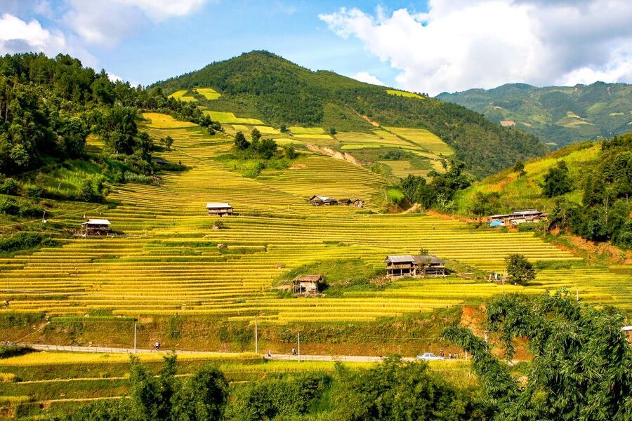Hanoi: 3-Day Sapa Trek with Homestay - What the guides add to the experience