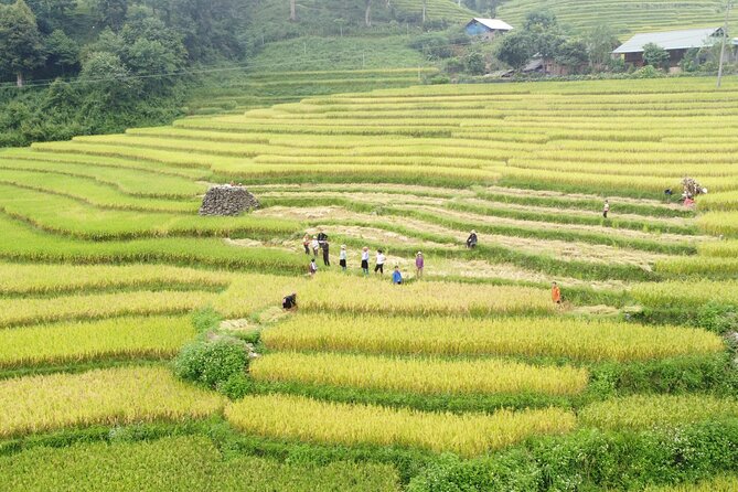 Hanoi - Sapa 2 Days 1 Night Overnight At Local Homestay - The return bus: useful, but not glamorous
