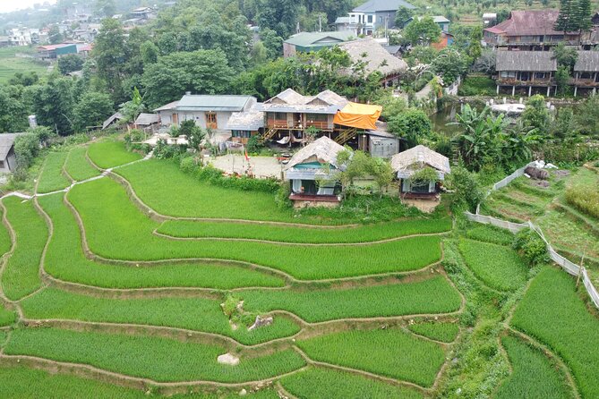 Hanoi - Sapa 3 Day 2 Night Trekking With Hotel & Homestay - Giang Ta Chai and Su Pan on the final morning