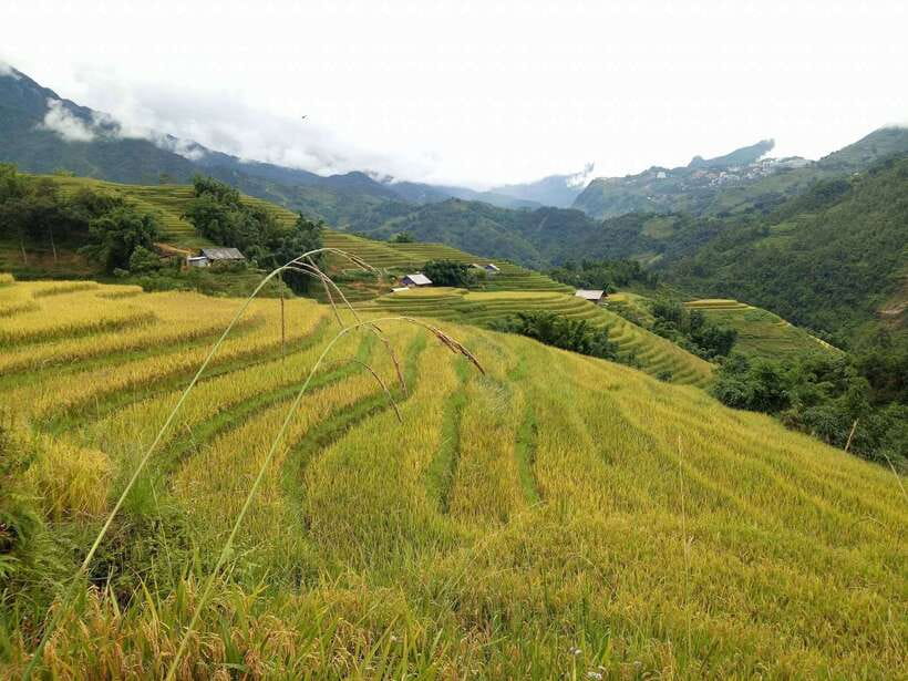 Hanoi- SaPa: 3-Day Homestay Trek to Explore Ethnic cultures - Day 3: Sunrise in Ban Ho and the Red Dzao village of Nam Tong