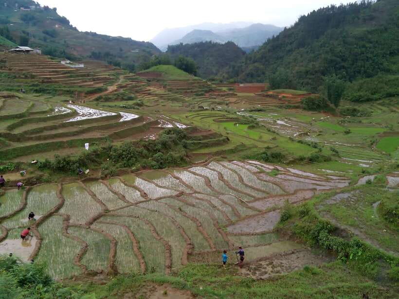 Hanoi- SaPa: 3-Day Homestay Trek to Explore Ethnic cultures - What the guides add to the experience