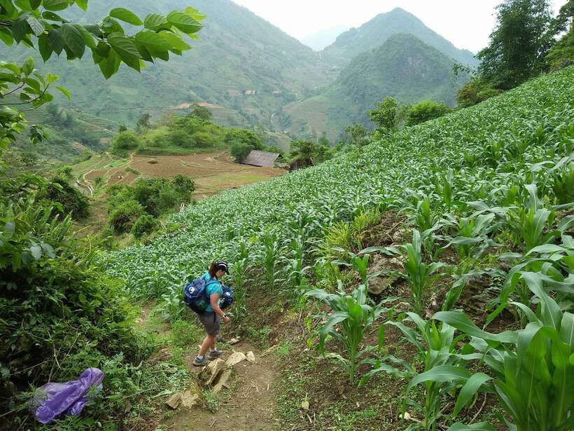 Hanoi- SaPa: 3-Day Homestay Trek to Explore Ethnic cultures - Weather, clothing, and practical comfort