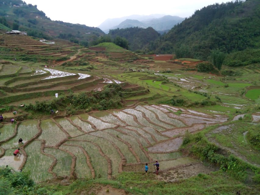 Hanoi- SaPa: 3-Day Homestay Trek to Explore Ethnic cultures - Is $139 good value for three days?