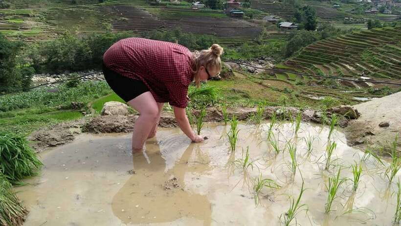 Hanoi- SaPa: 3-Day Homestay Trek to Explore Ethnic cultures - The overnight bus from Hanoi to Sapa