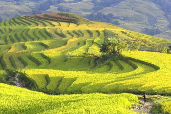 Hanoi-Sapa Trek 2 days 2 nights in Hotel with small group - Ta Van shows a quieter side of the region
