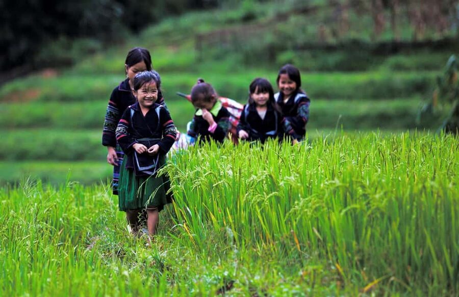 Hanoi: Sapa Trekking 2 Days 1 Night Overnight in Village - Y Linh Ho and the 9-kilometer route to Ta Van