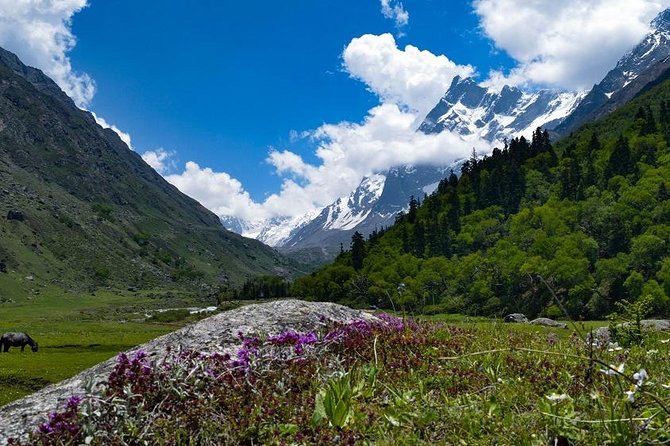 Har Ki dun Trek by Himalaya Shelter - Key points before you book
