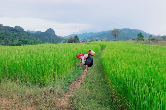 Hello, who like to make fantastic trek with the most experienced guide in Kalaw. - Seasonal and practical planning