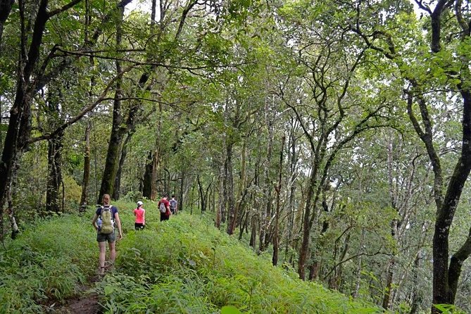 High Mountain Day Trek - Key points to know before booking