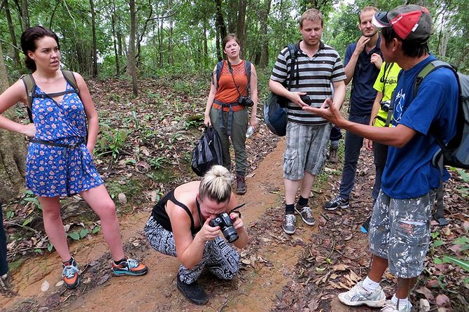 High Mountain Day Trek - Four hours on ridges and forest paths