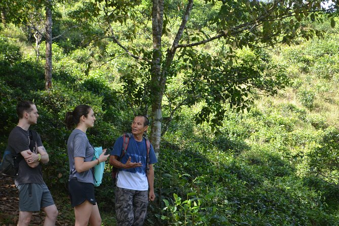 High Mountain Day Trek - Lunch at a rustic mountain homestay