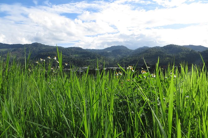 High Mountain Day Trek - Who should book this mountain trek