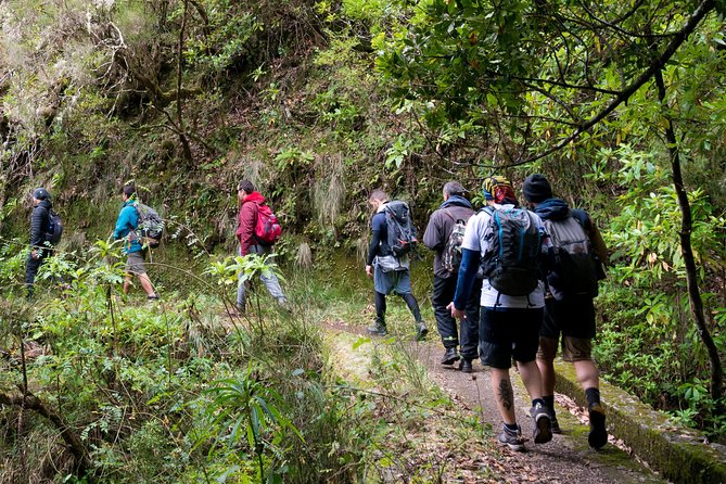 Hiking and Trekking tours in Madeira - Why a levada walk is a smart first look at Madeira