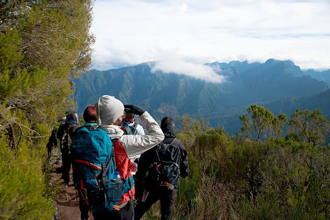 Hiking and Trekking tours in Madeira - A 9:00 am pickup from Funchal