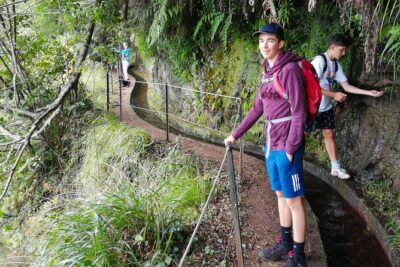 Hiking and Trekking tours in Madeira