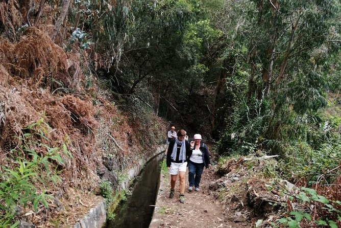 Hiking and Trekking tours in Madeira - Food, drinks, and what to bring