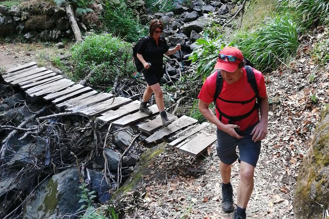 Hiking and Trekking tours in Madeira - Who will get the most from this hike?
