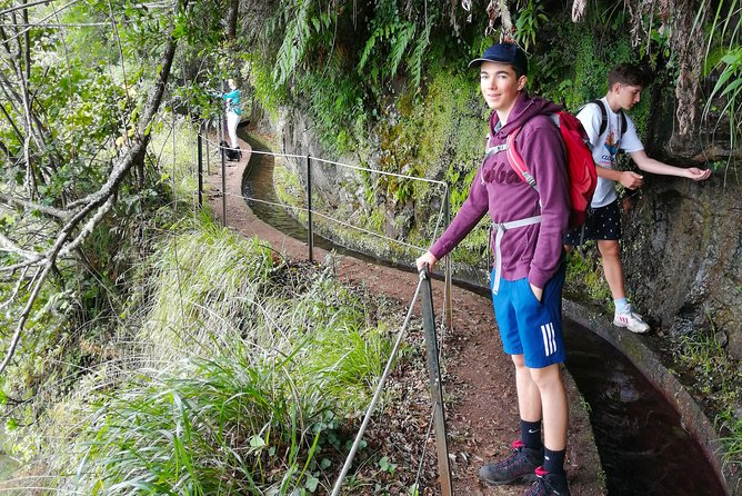 Hiking and Trekking tours in Madeira - The scenery: endemic plants, volcanic forms, and photo stops