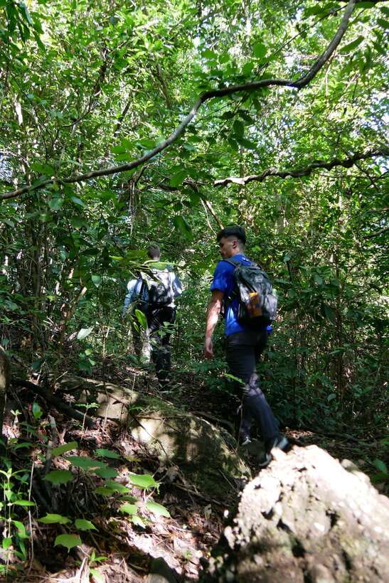 Hoi An: Amazing My Son Sanctuary and Mountain Trekking - A closer look at the local guiding